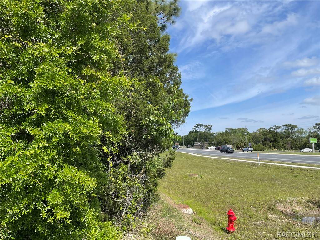 Homosassa, FL 34446,4584 S Suncoast BLVD
