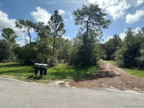 Hernando, FL 34442,1043 E Crosby CT