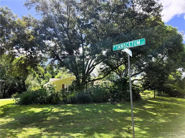 Citrus Springs, FL 34434,8841 N Golfview DR