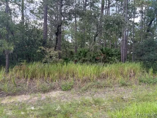 Beverly Hills, FL 34465,4981 N Mulberry LOOP