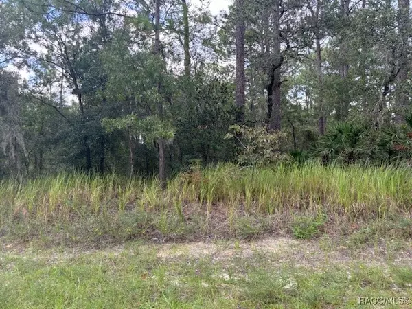 Beverly Hills, FL 34465,4981 N Mulberry LOOP