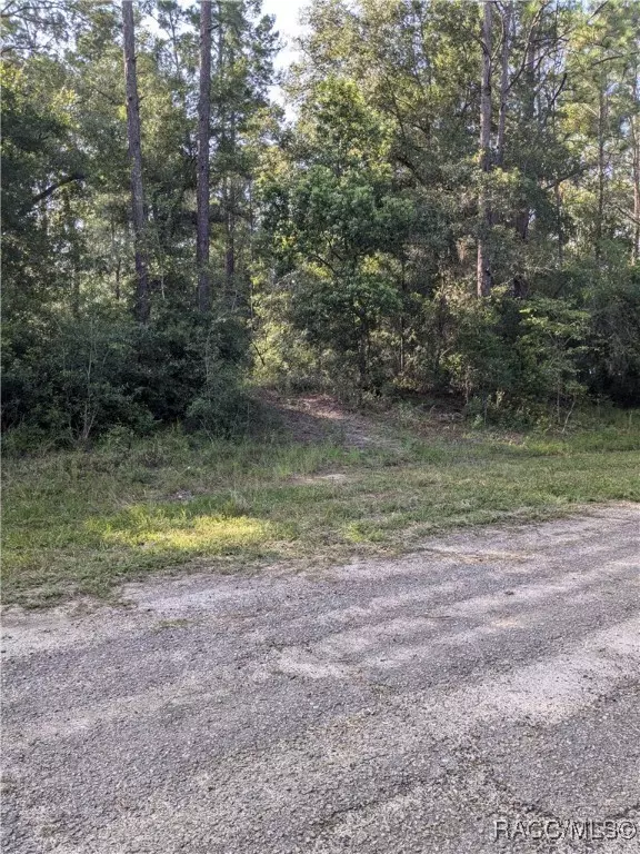 Citrus Springs, FL 34434,10850 N Hatari DR