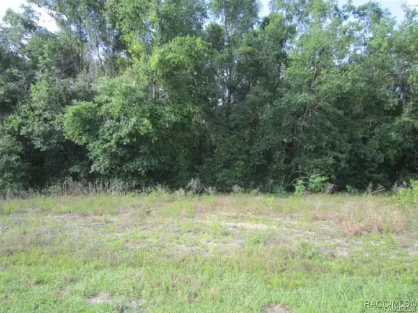 Inverness, FL 34453,3817 E Forest DR