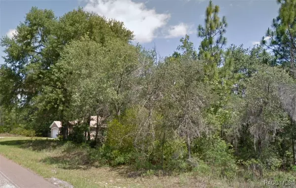 Citrus Springs, FL 34433,2963 W Juliet PL