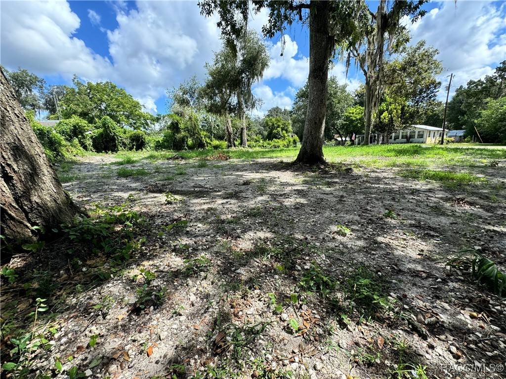 4864 S Whitetail TER, Floral City, FL 34436