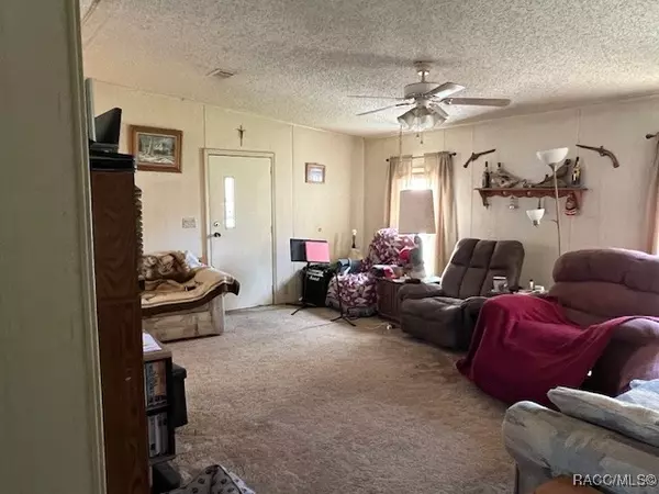 Floral City, FL 34436,8032 E Skyline LN