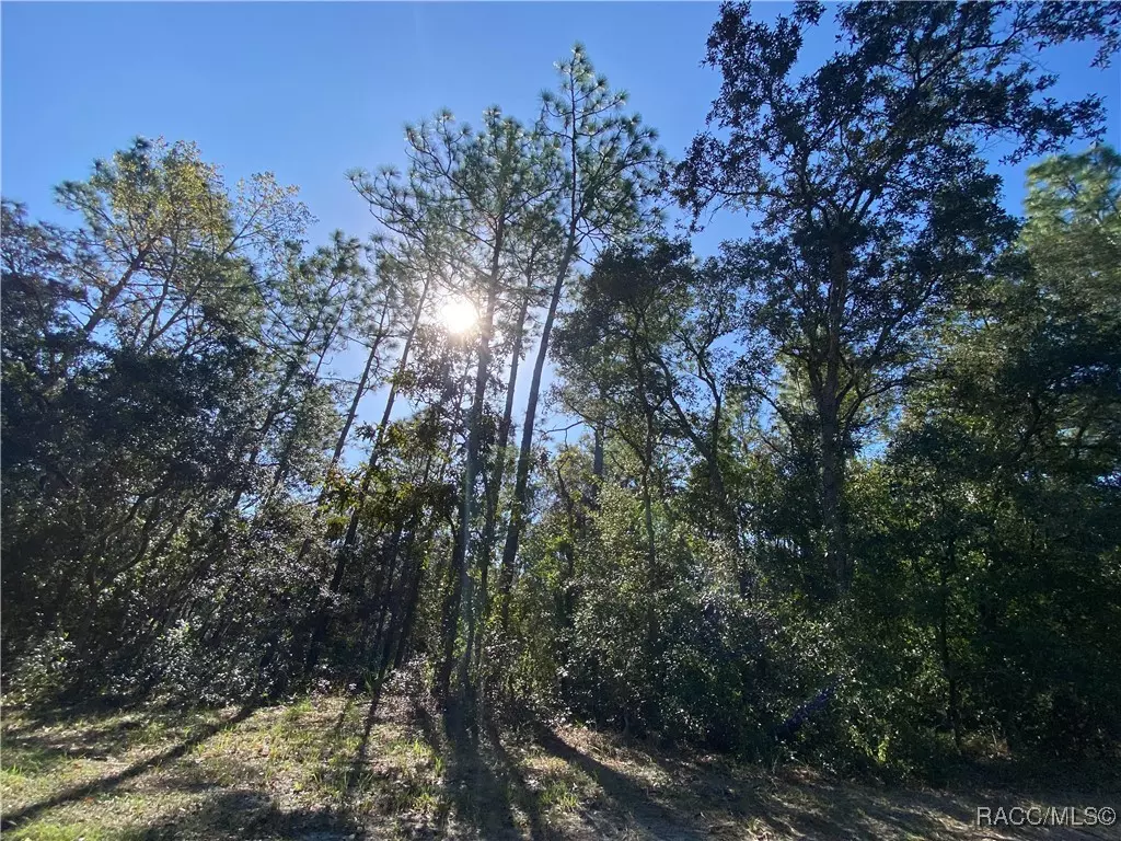 Lecanto, FL 34461,3042 W Falcon CT