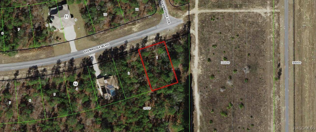 73 Glenridge BLVD, Homosassa, FL 34446