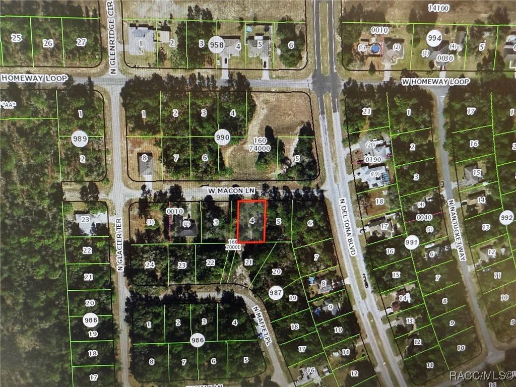 396 W Macon LN, Dunnellon, FL 34434