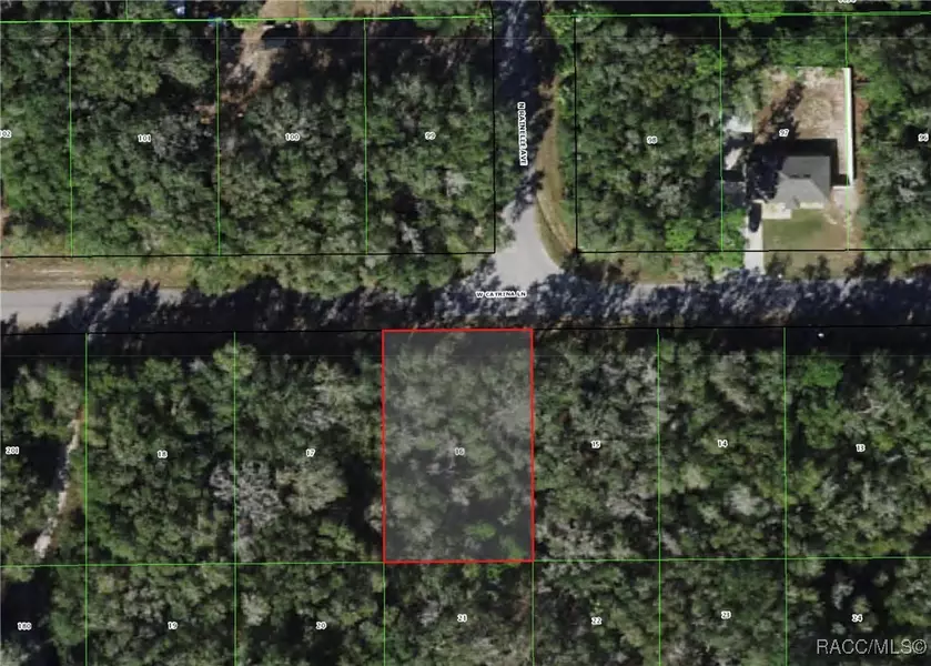 8236 W Catrina LN, Crystal River, FL 34428