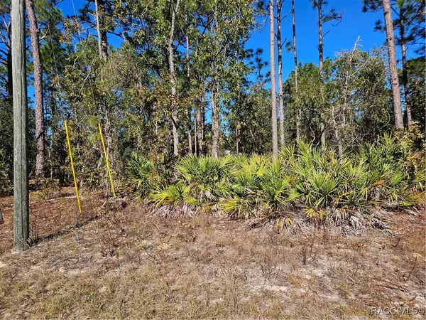 Dunnellon, FL 34434,1919 W Wavecrest DR