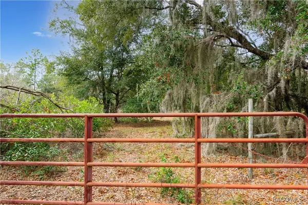 Floral City, FL 34436,12838 S Florida AVE