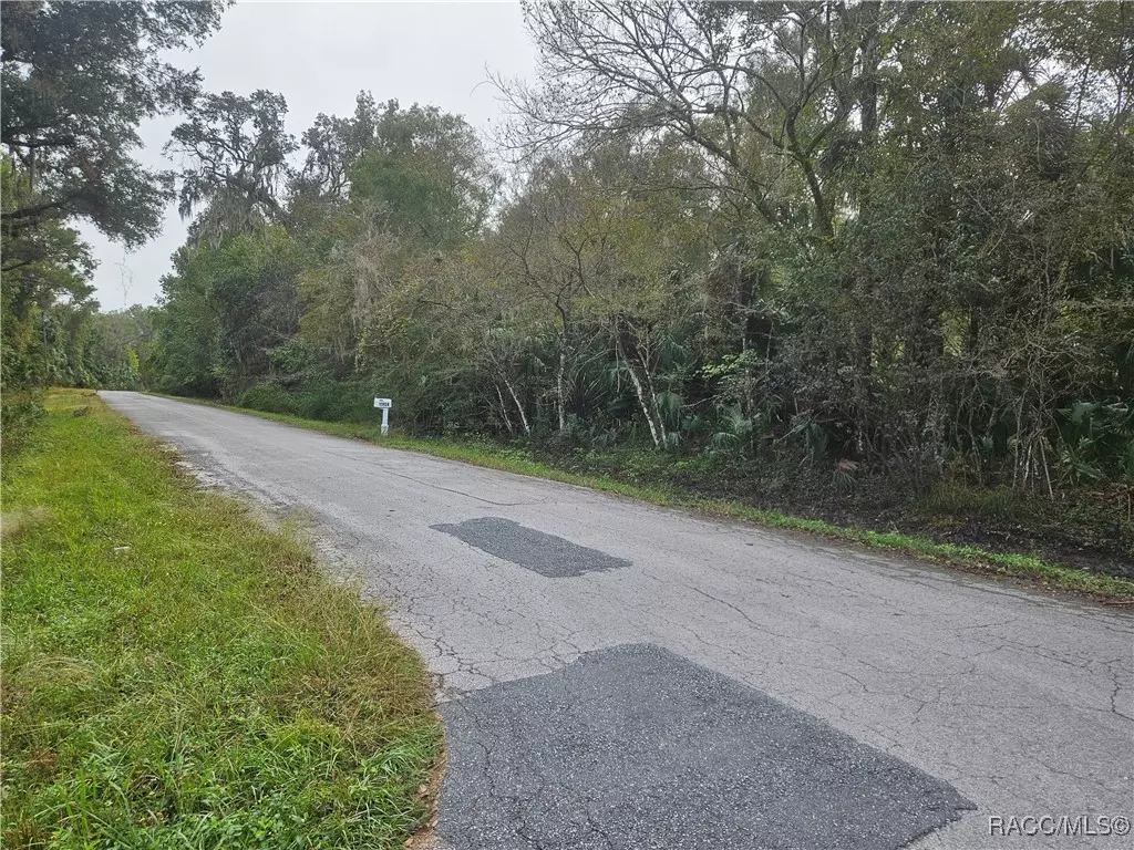 Crystal River, FL 34428,11924 W Deodar ST