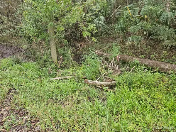 Crystal River, FL 34428,11924 W Deodar ST