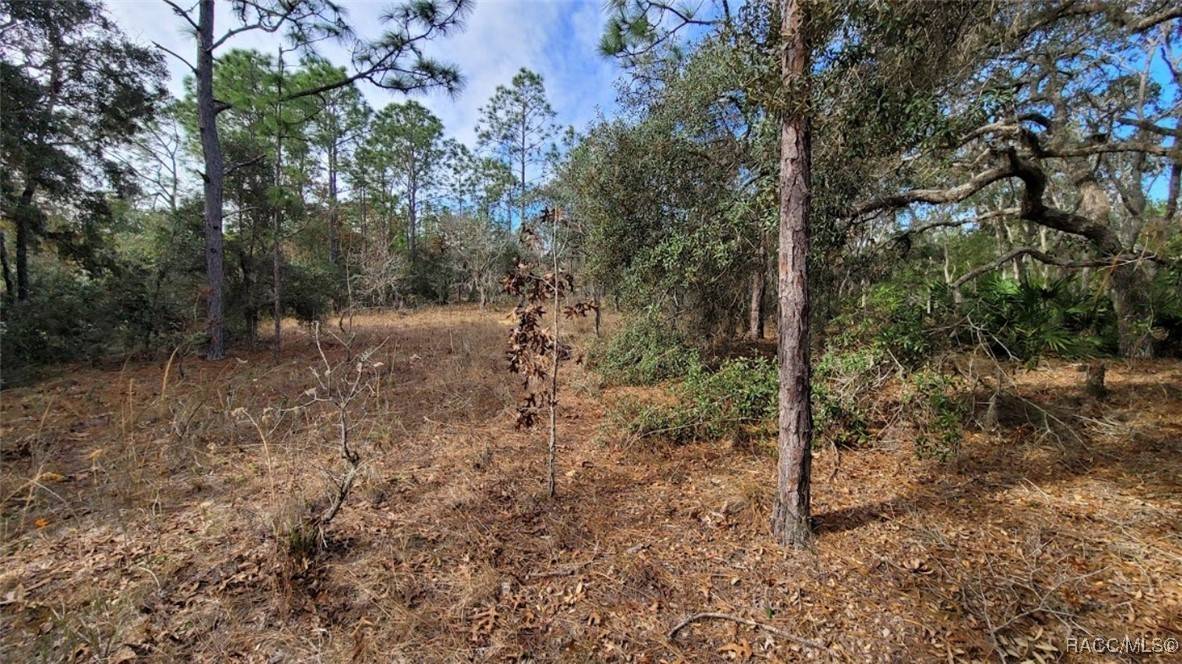 Lecanto, FL 34461