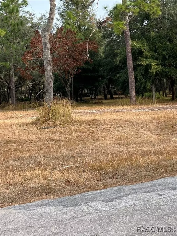 Beverly Hills, FL 34465,4923 W Phoenix DR