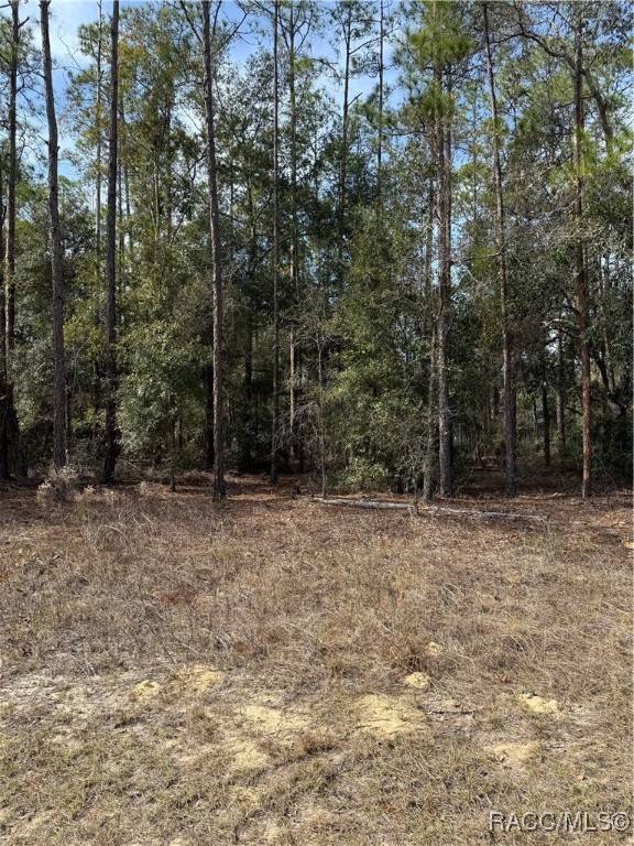 8590 N Wallingford AVE, Dunnellon, FL 34434