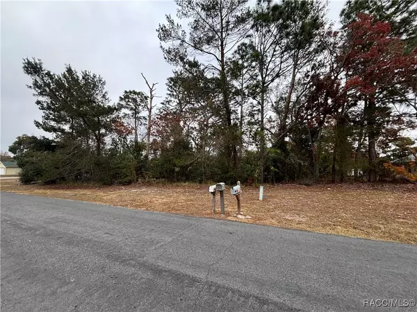 Spring Hill, FL 34608,0 Keysville AVE