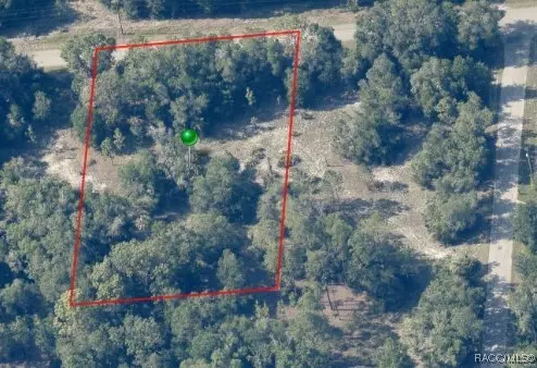 Crystal River, FL 34428,12400 W CORNFLOWER DR