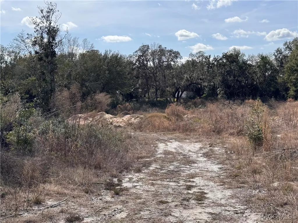 Belleview, FL 34420,10650 SE 95th TER