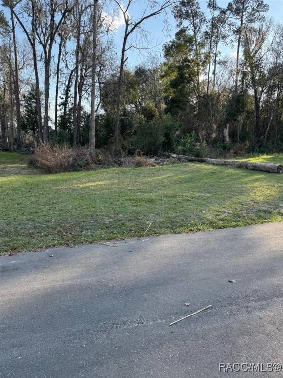 0 SE 119th ST, Belleview, FL 34420