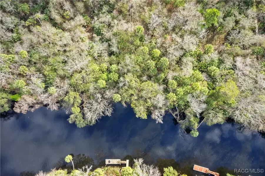 13537 W Foss Groves PATH, Inglis, FL 34449