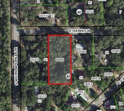 11682 E Hawk LN, Floral City, FL 34436