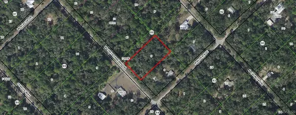 Crystal River, FL 34428,12639 W Checkerberry DR