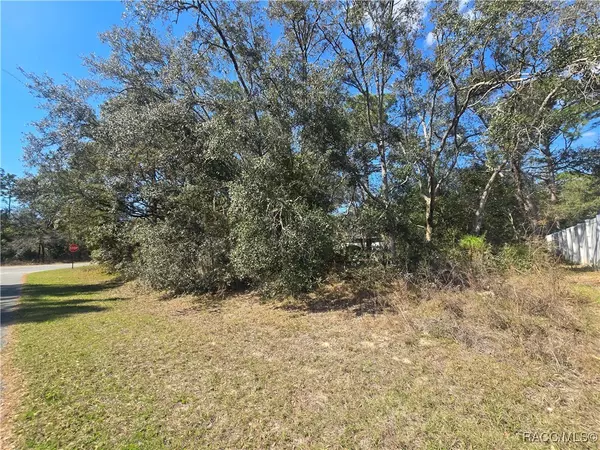 Citrus Springs, FL 34433,8467 N Empire AVE