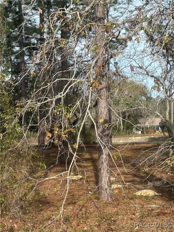 2 Barkwood PT, Homosassa, FL 34446