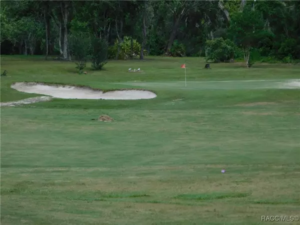 Homosassa, FL 34446,56 Golfview DR