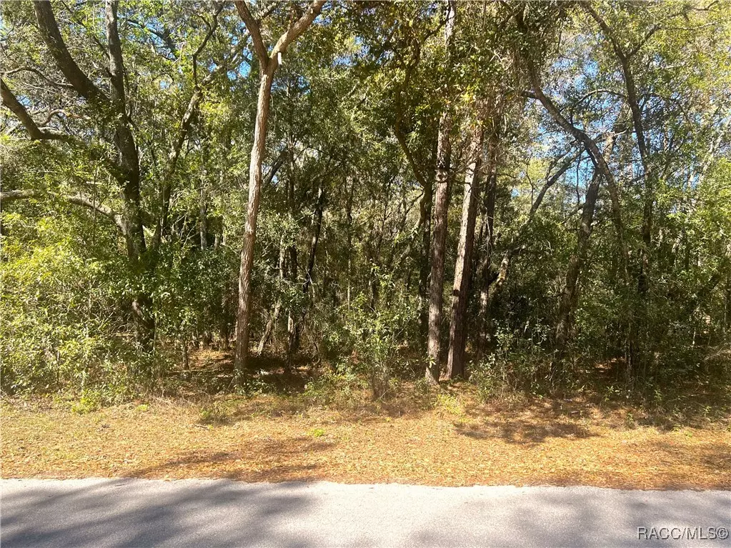 Dunnellon, FL 34431,0000 SW 199 CT