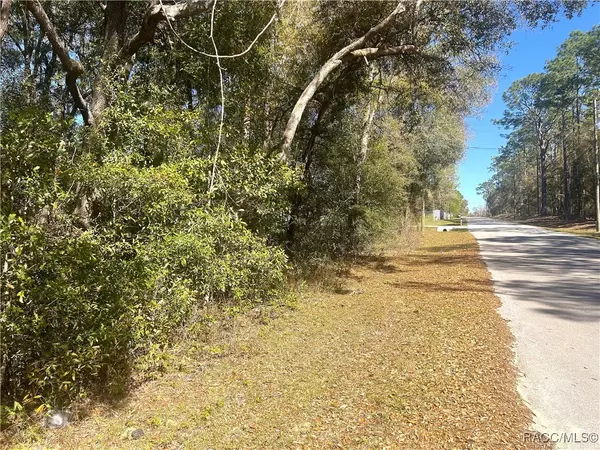 Dunnellon, FL 34431,0000 SW 199 CT