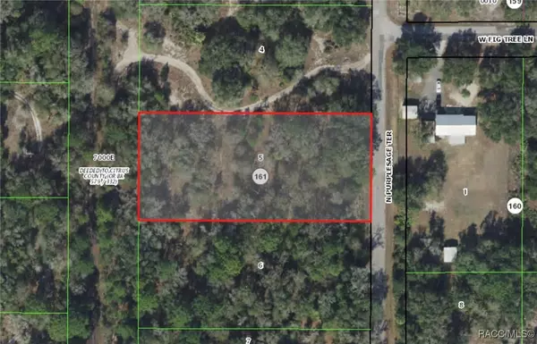 10146 N Purplesage TER, Crystal River, FL 34428