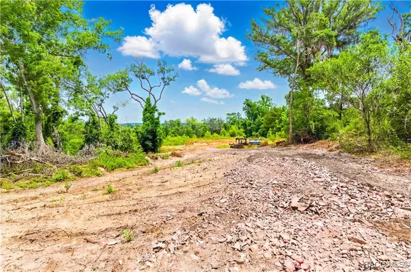 Brooksville, FL 34602,0 Dan Brown Hill RD