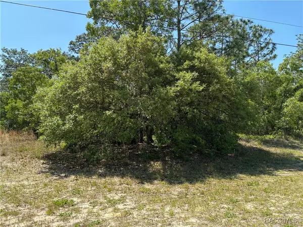 Beverly Hills, FL 34465,3299 N Reno WAY