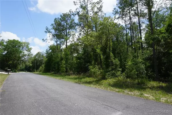 Citrus Springs, FL 34434,10072 N Conrad PT