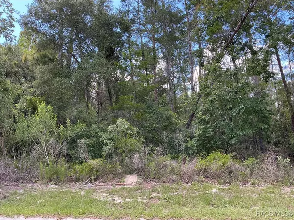65 Bells Of Ireland CT, Homosassa, FL 34446