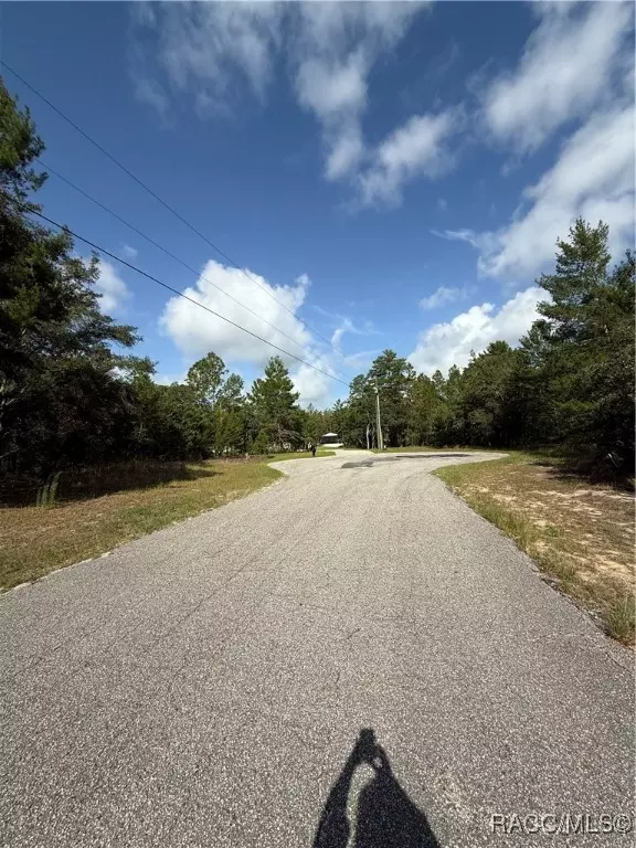 Beverly Hills, FL 34465,5056 W Colt ST