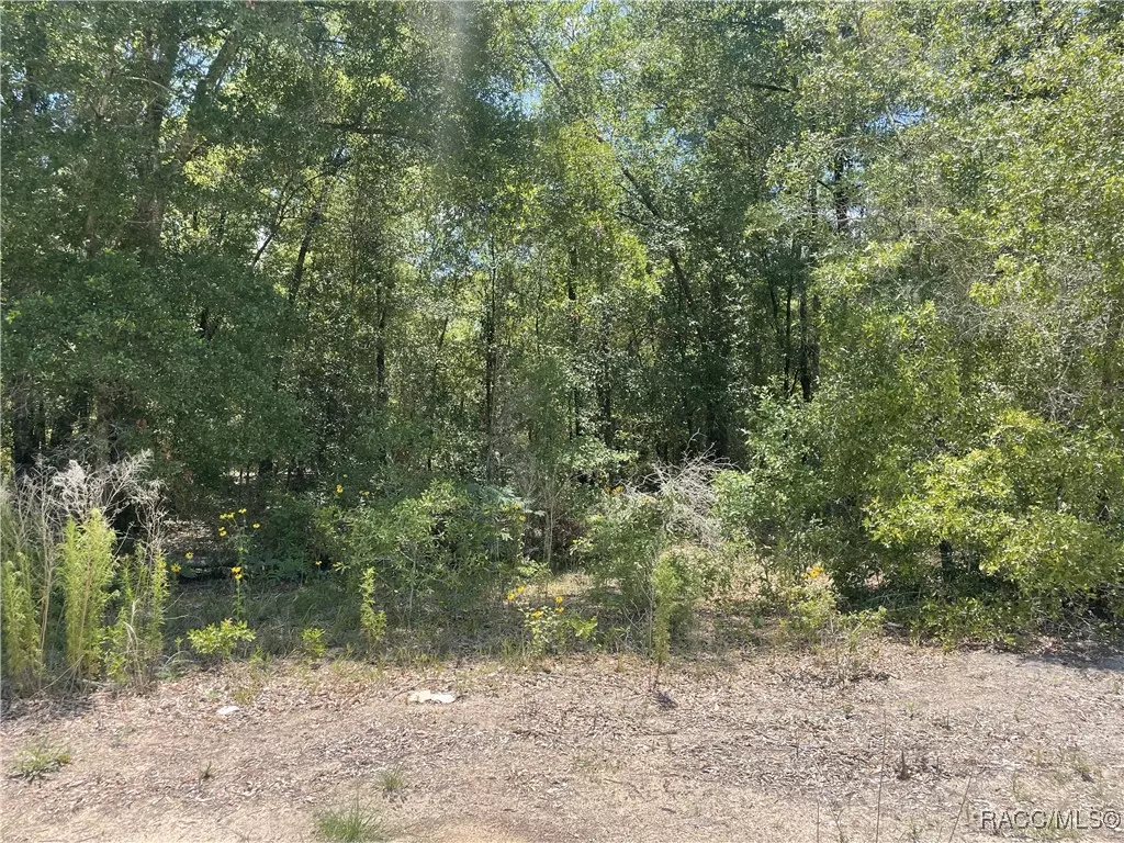 Ocala, FL 34481,TBD SW 22nd PL
