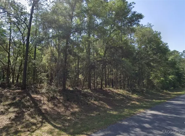 Citrus Springs, FL 34434,9088 N Irondale RD