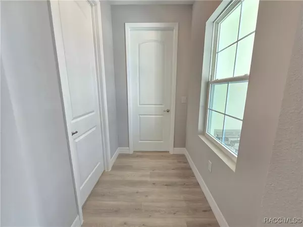 Homosassa, FL 34446,3 Heuchera CT E