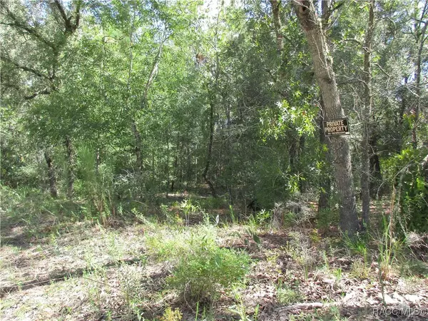 Citrus Springs, FL 34434,8339 N Creek WAY