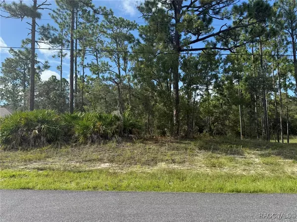 Dunnellon, FL 34434,339 W Goldcoast PL