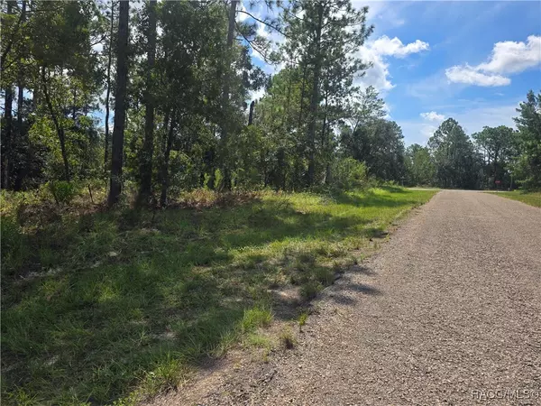 7441 N June TER, Dunnellon, FL 34434