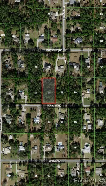 Lecanto, FL 34461,2219 W Middle LN