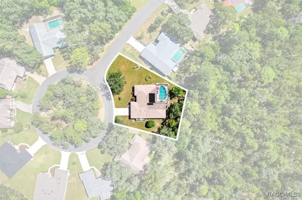 Homosassa, FL 34446,11 Asters CT