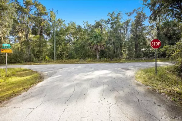 Crystal River, FL 34428,9473 N Star Blaze DR