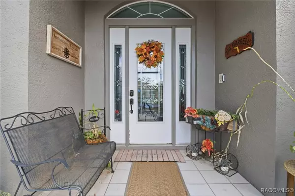 Homosassa, FL 34446,14 Tall Marigolds CT