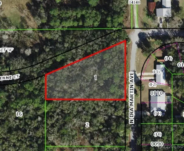 8974 N Ira Martin AVE, Crystal River, FL 34428